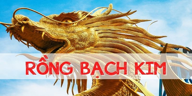 rồng bạch kim