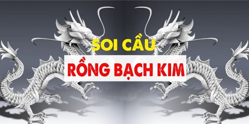 Rồng Bạch Kim thống kê chi tiết và đưa ra dự đoán rất chuẩn